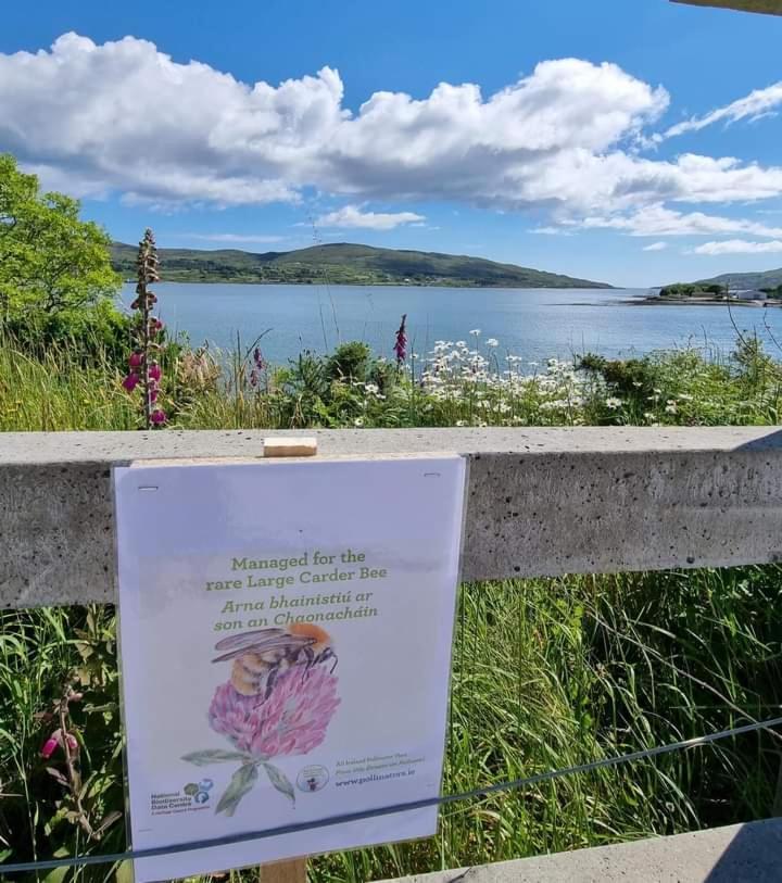 Escape To The Beara Peninsula. Apartment คาสเซิลทาวน์เบียร์ ภายนอก รูปภาพ